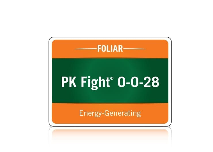 PK Fight